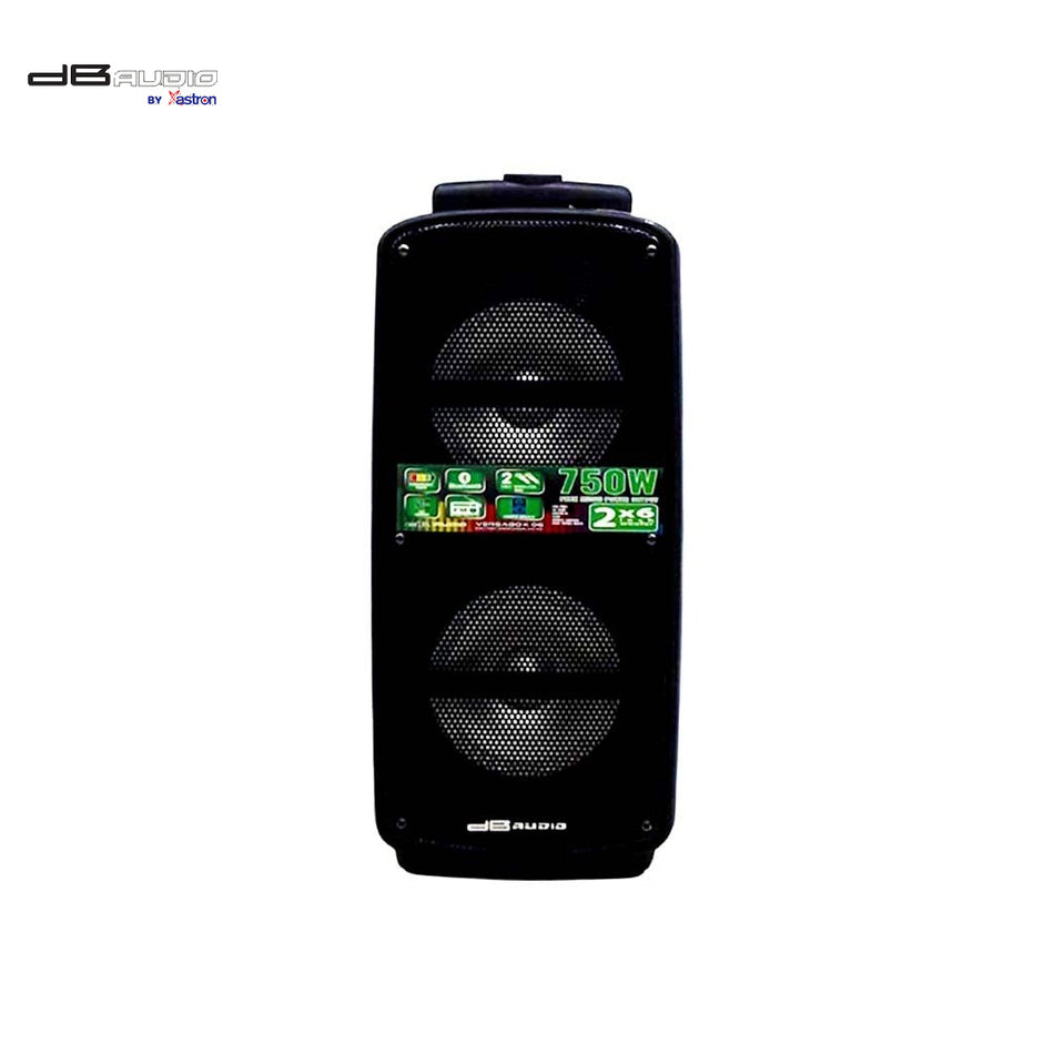DB Audio Rechargeable Speaker 2x6" 750W - VersaBox 06