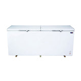 Fujidenzo Chest Type Freezer Hard Top 22 Cuft. - FC-22GDF